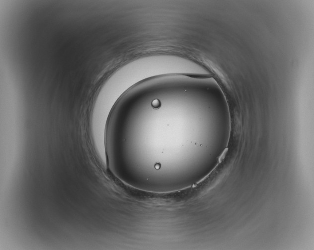 X0000115300681200911091012