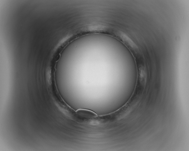 X0000115300684200911091012