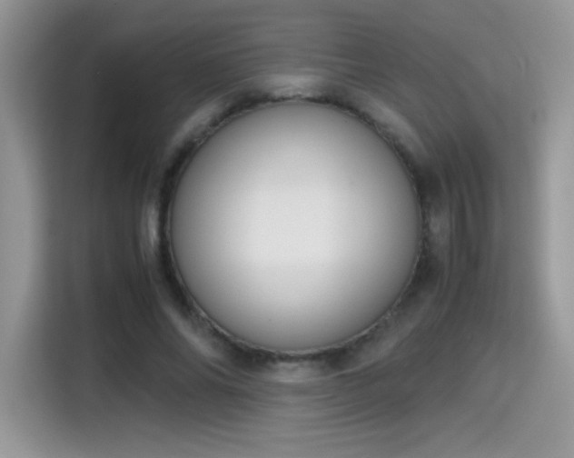 X0000115300686200911091012