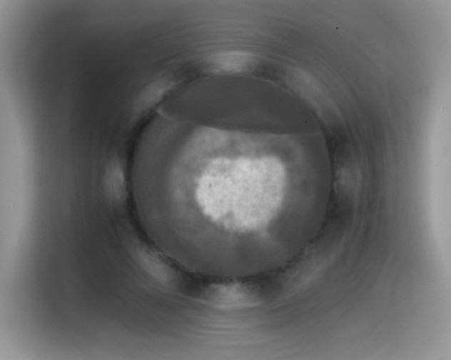 X0000115300688200911091012