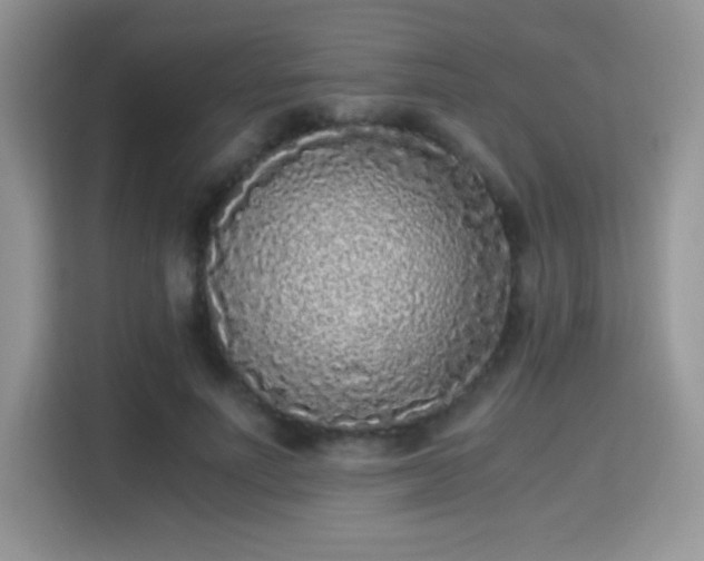 X0000115300691200911091012