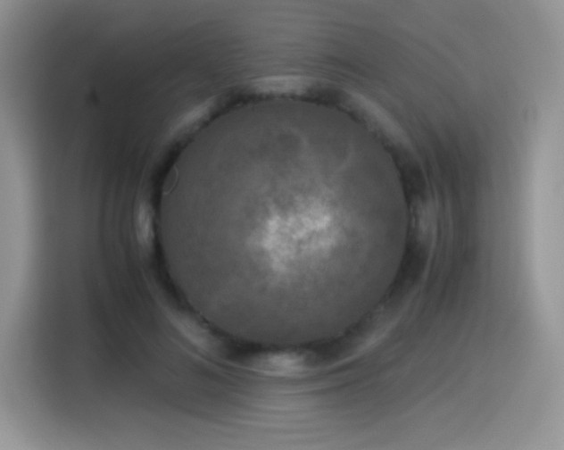 X0000115300692200911091012