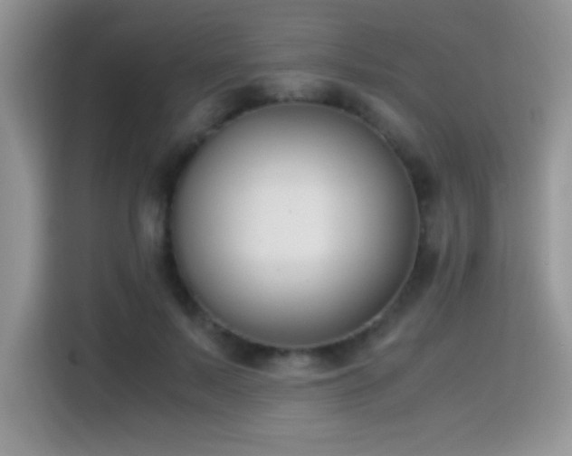 X0000115300695200911091012