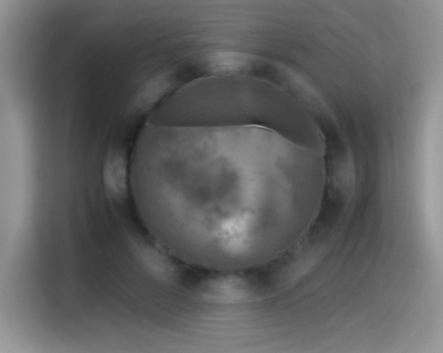X0000115300696200911091012