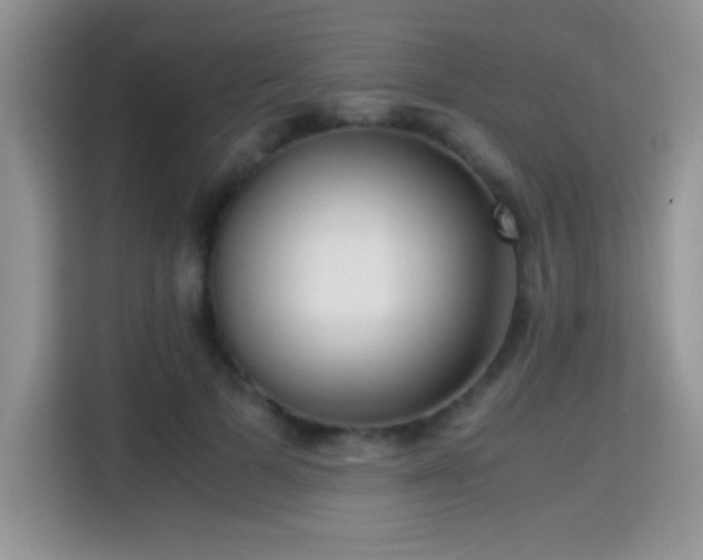 X0000115300697200911091012