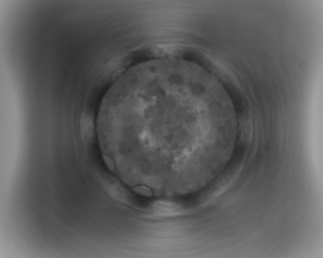 X0000115300699200911091012