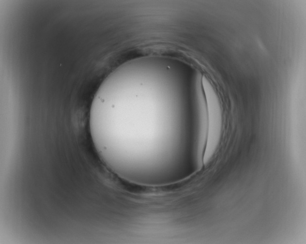 X0000115300701200911091012