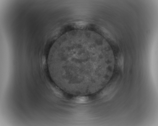 X0000115300711200911091012
