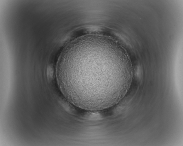 X0000115300715200911091012