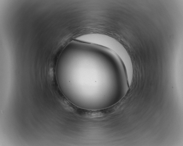 X0000115300716200911091012