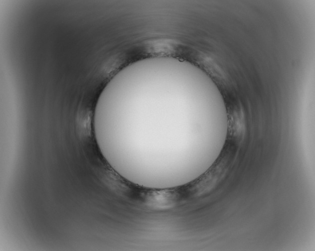 X0000115300717200911091012