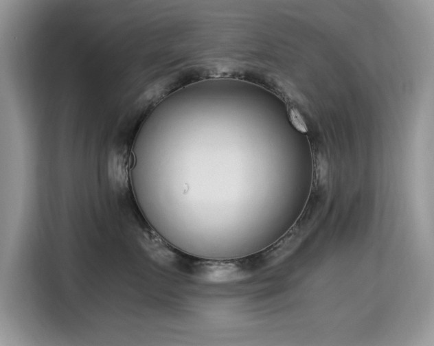 X0000115300719200911091012