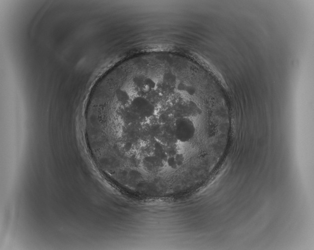 X0000115300721200911091011