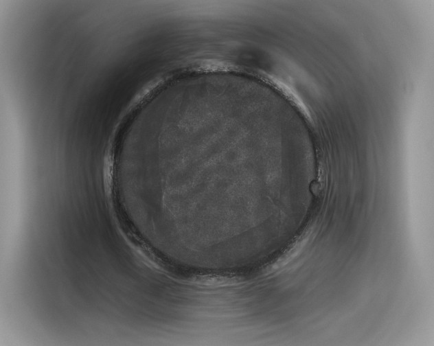 X0000115300722200911091011