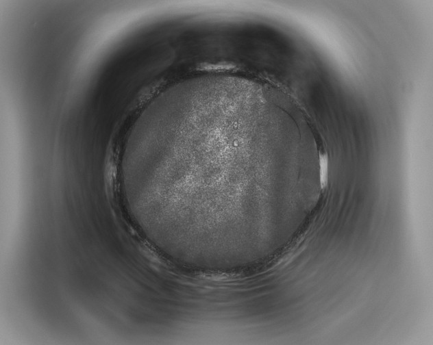X0000115300723200911091011