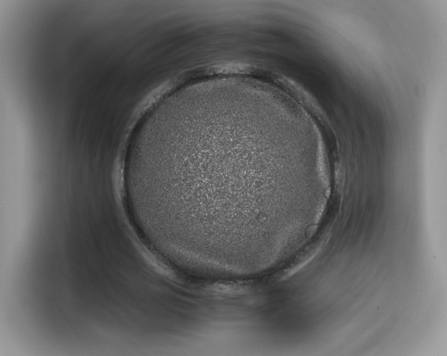 X0000115300725200911091011