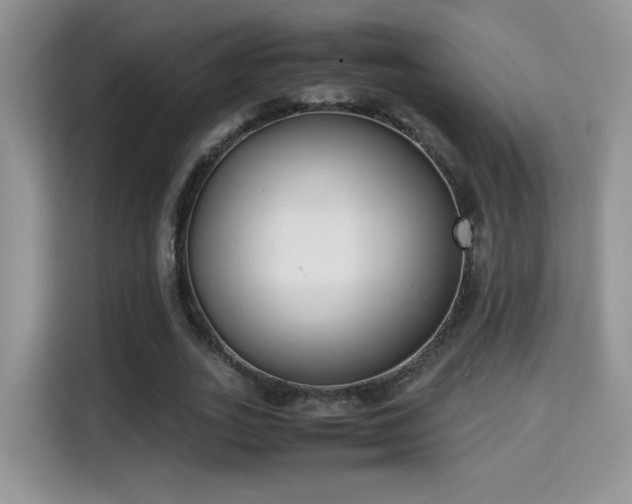 X0000115300727200911091011