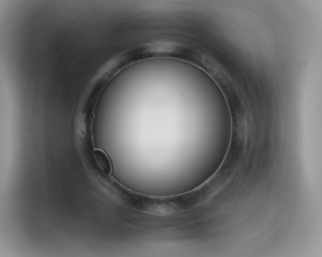X0000115300731200911091011