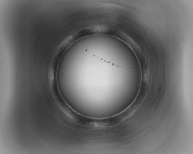 X0000115300733200911091011