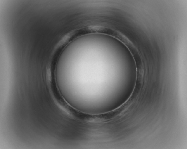 X0000115300734200911091011