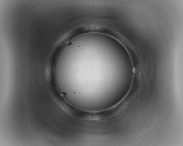 X0000115300735200911091011