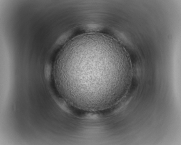 X0000115300742200911091012