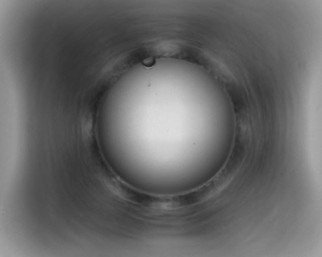 X0000115300745200911091012