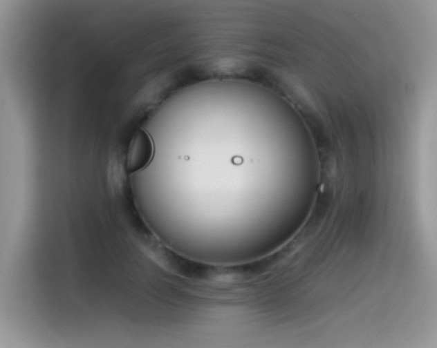 X0000115300746200911091012
