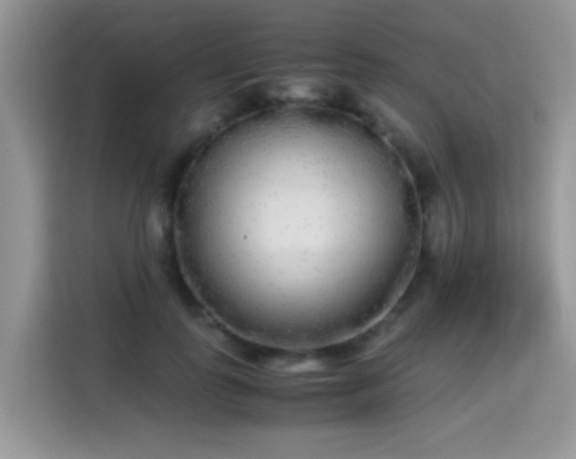 X0000115300747200911091012