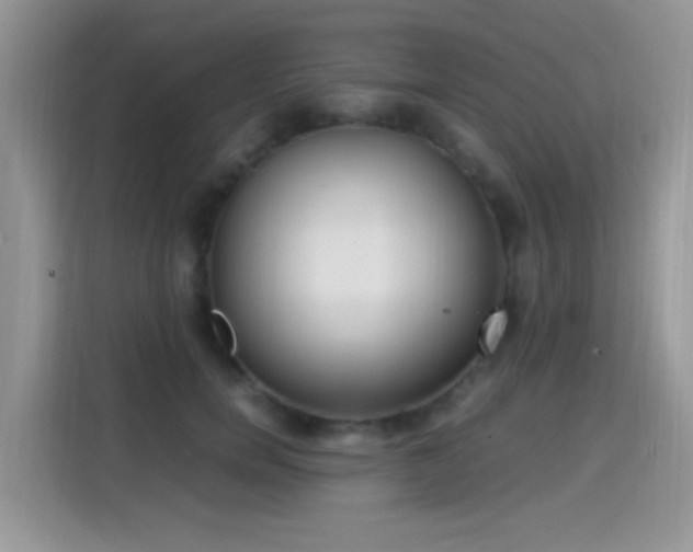 X0000115300750200911091012