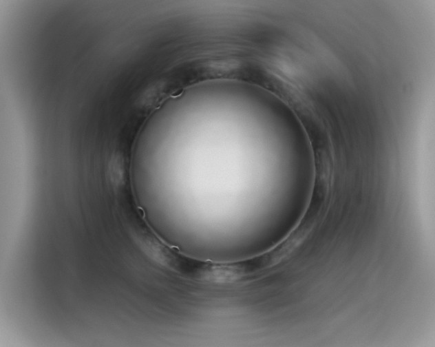 X0000115300758200911091012