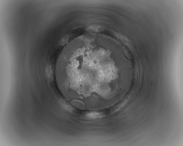X0000115300759200911091012