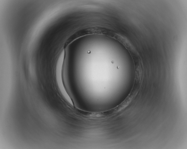 X0000115300762200911091012