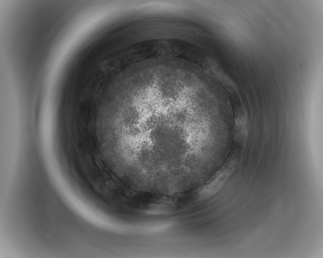 X0000115300765200911091012