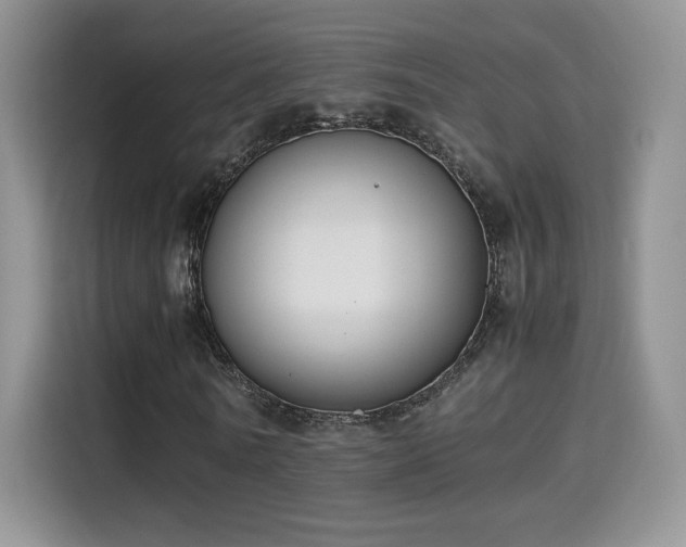 X0000115300770200911091011
