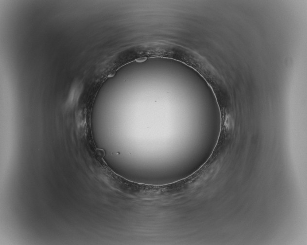X0000115300771200911091011