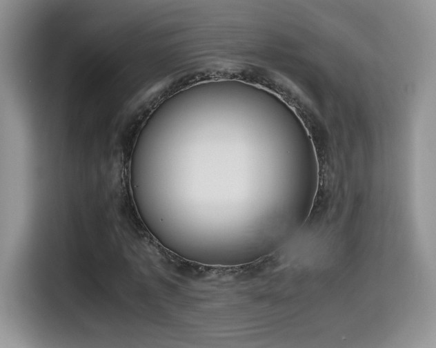 X0000115300773200911091011