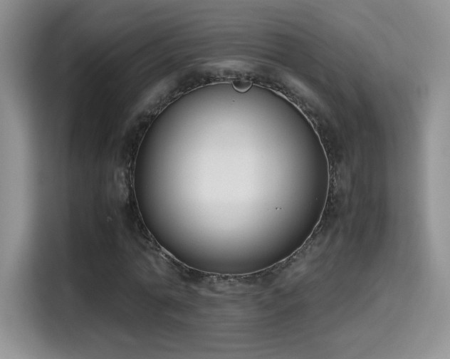 X0000115300774200911091011