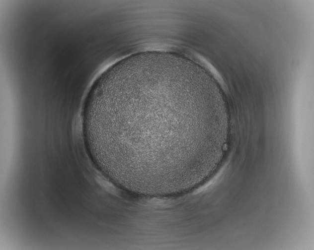 X0000115300779200911091011
