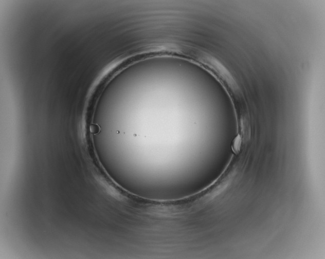 X0000115300780200911091011