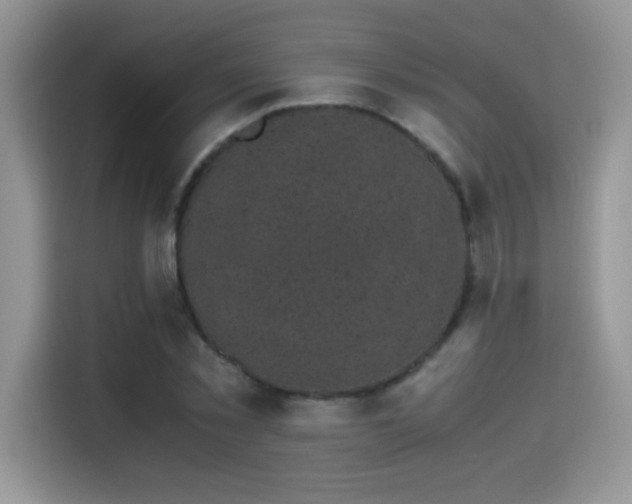 X0000115300781200911091011