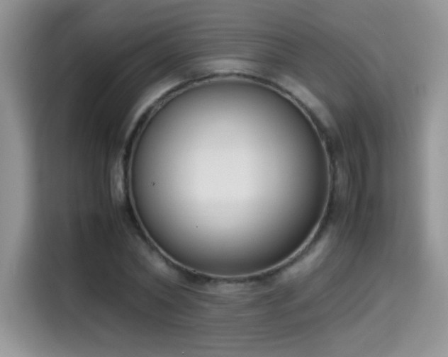 X0000115300782200911091011