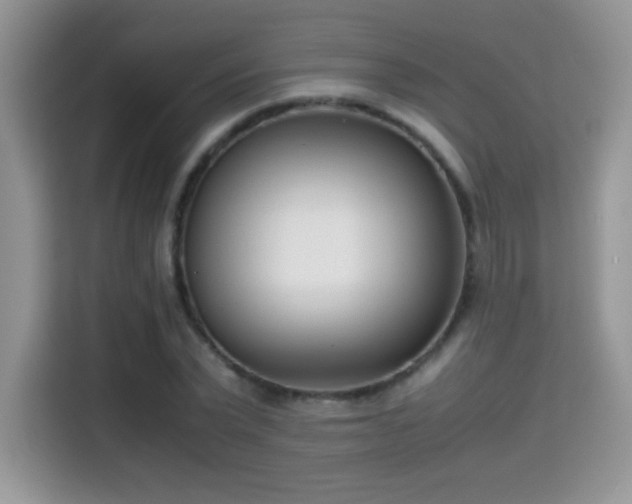 X0000115300783200911091011