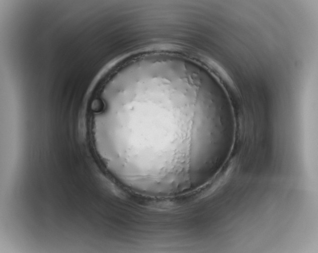 X0000115300784200911091011