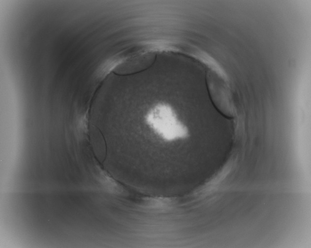 X0000115300785200911091011