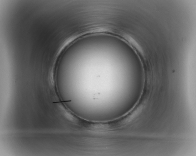 X0000115300789200911091011