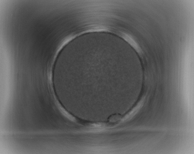 X0000115300797200911091011