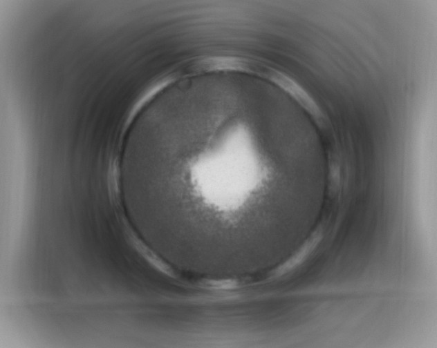 X0000115300798200911091011