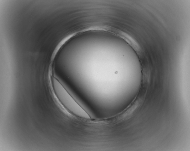 X0000115300804200911091011