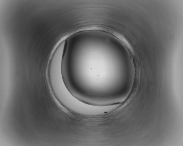 X0000115300805200911091011
